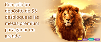 Recarga Diaria Energética promotion